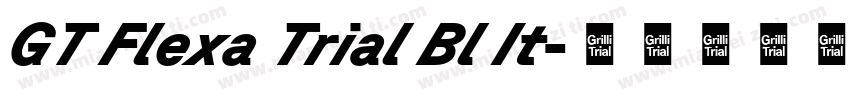 GT Flexa Trial Bl It字体转换